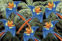 Palm Parrot Fine Art Print