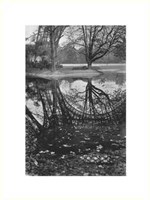 Reflet de la Tour Eiffel, 1939 Fine Art Print