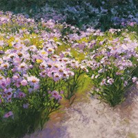 Buckhorn Aster Show Fine Art Print