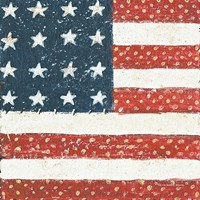 Americana Quilt IV Fine Art Print