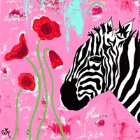 Zebra Fine Art Print