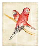 Fanciful Birds I Fine Art Print