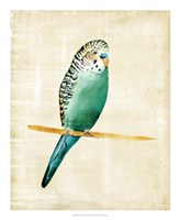 Fanciful Birds II Framed Print