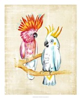 Fanciful Birds IV Fine Art Print