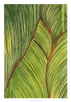 Tropical Crop II Framed Print