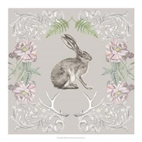 Hare & Antlers II Fine Art Print