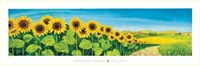 Valle Dei Girasoli Fine Art Print