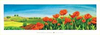 Valle Dei Papaveri Fine Art Print