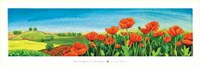 Valle Dei Papaveri Fine Art Print