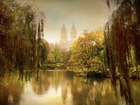Central Park Splendor Fine Art Print