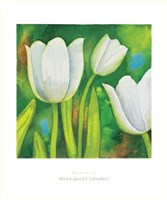 Tulipani in Fiore Fine Art Print