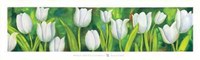 Tulipani Bianchi Fine Art Print