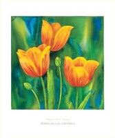 Composizione di Tulipani Fine Art Print