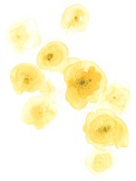 Falling Blossoms III Framed Print