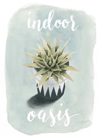 Life is Succulent III Fine Art Print