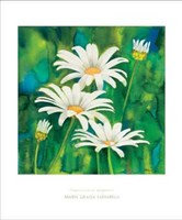 Composizione di Margherite Fine Art Print