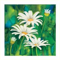 Composizione di Margherite Fine Art Print