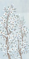 Branches of Blossoms II Fine Art Print
