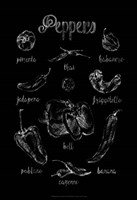 Pepper Varieties Fine Art Print