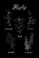 Herb Varieties Framed Print