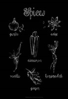 Spice Varieties Framed Print