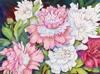 A Peony Cluster Fine Art Print