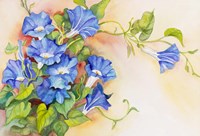 Morning Gloria Vine Stretching Fine Art Print