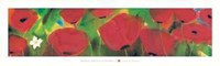 Campo di Papaveri Fine Art Print