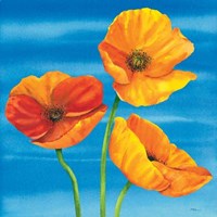 Papaveri Nel Blu Fine Art Print