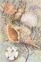 Jewels of the Sea Fine Art Print