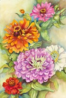 Z for Zinnia Fine Art Print