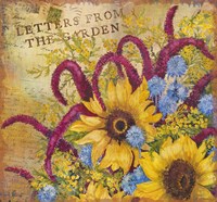 Letters from the Garden II Fine Art Print