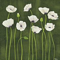 Papaveri Danzanti Fine Art Print