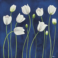 Tulipani Danzanti Fine Art Print
