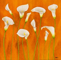 Calle Danzanti Fine Art Print