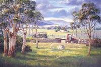 Bogged Fine Art Print