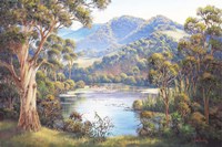 Macleay Valley Morning Fine Art Print