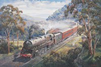 Newcastle Flyer Fine Art Print