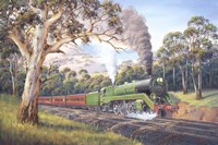 Pacific Class 3829 Fine Art Print