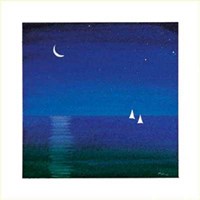 Sotto le Stelle II Fine Art Print