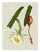 Elegant Tropicals II Framed Print