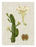 Elegant Tropicals III Framed Print