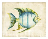 Aquarium Fish I Framed Print