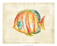 Aquarium Fish II Framed Print