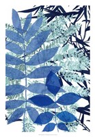 Morning Dew II Fine Art Print