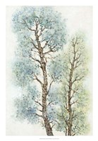 Tranquil Tree Tops I Framed Print