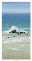 Salt Spray III Framed Print