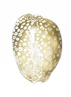 Gold Foil Shell II Framed Print