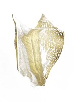 Gold Foil Shell III Framed Print