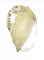 Gold Foil Shell IV Framed Print